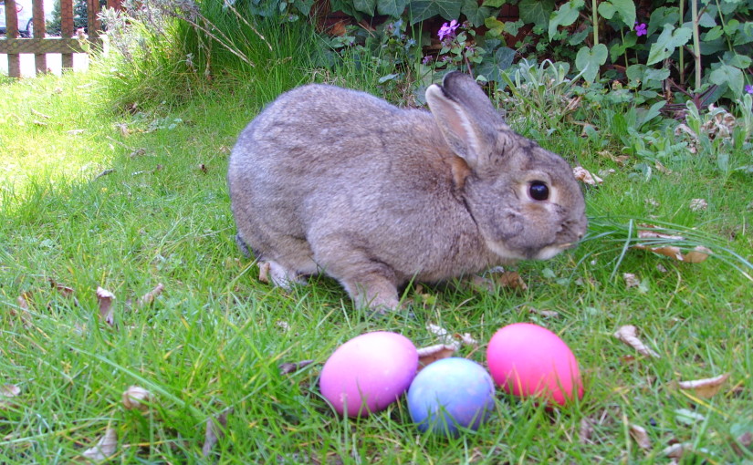 2015 Easter Egg Hunt